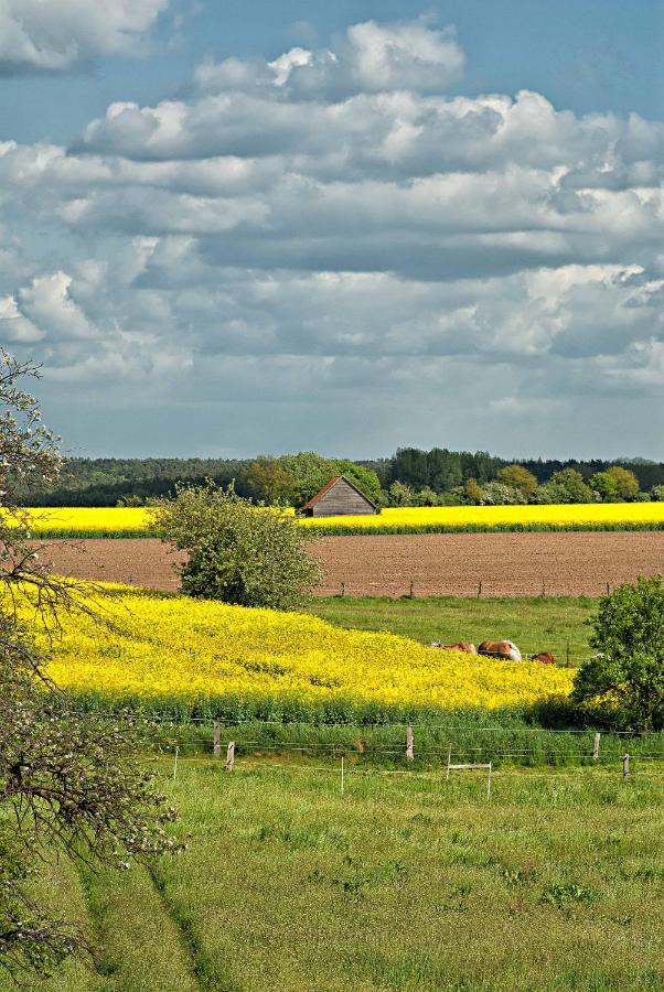 Ferien Auf Tippen Hof Bleckede Exterior foto